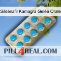 Sildénafil Kamagra Gelée Orale new09